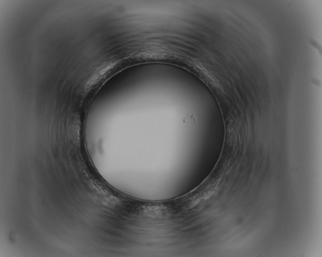 X0000091300446200708241055