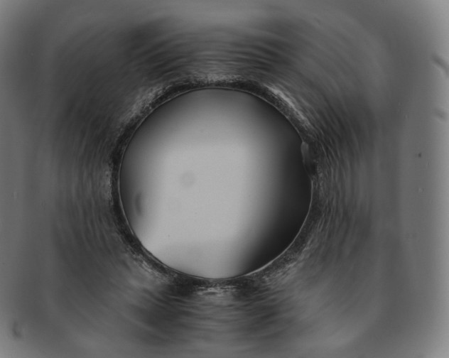 X0000091300447200708241055