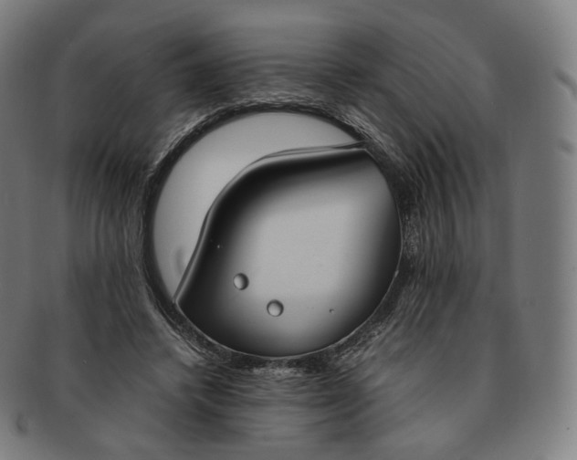 X0000091300448200708241055