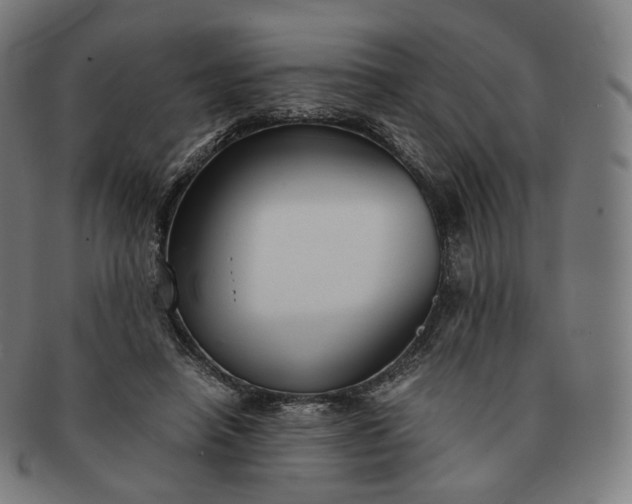 X0000091300450200708241055