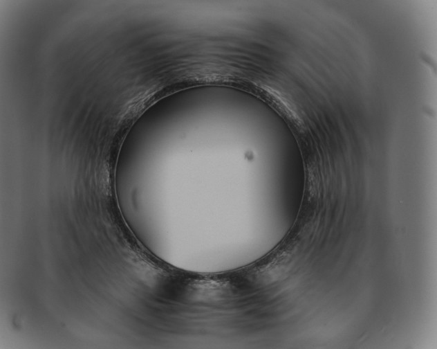 X0000091300453200708241055