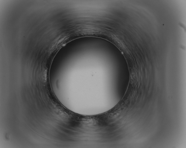 X0000091300454200708241055