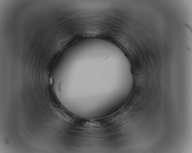 X0000091300455200708241055