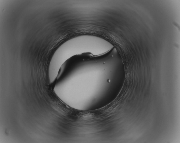 X0000091300456200708241055