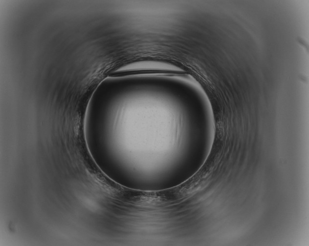 X0000091300458200708241055