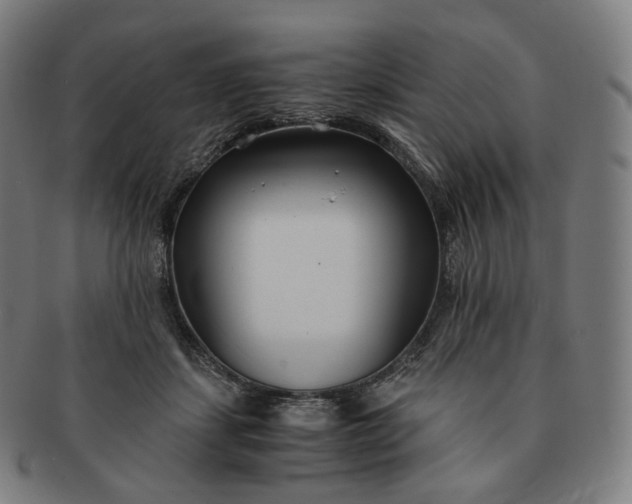 X0000091300459200708241055