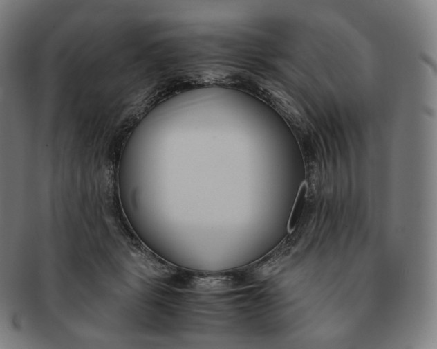 X0000091300461200708241055