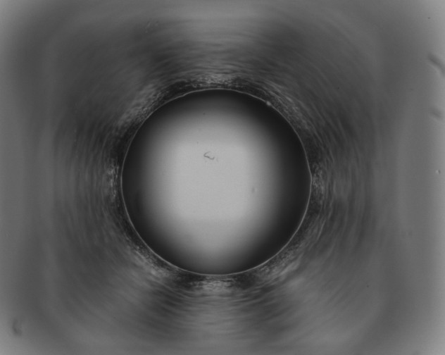 X0000091300462200708241055