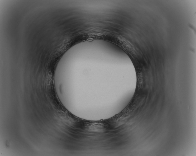 X0000091300463200708241055