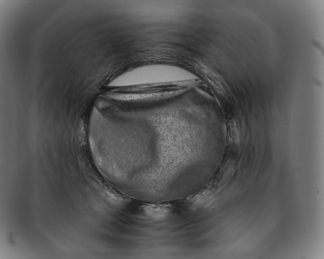 X0000091300465200708241055