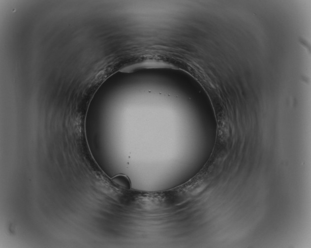 X0000091300466200708241055