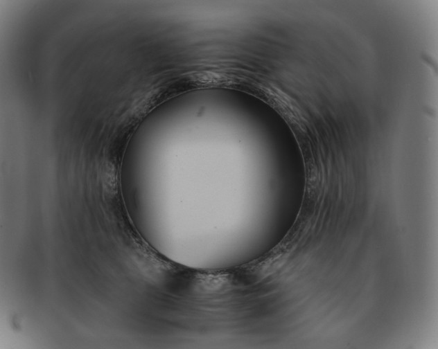 X0000091300469200708241055