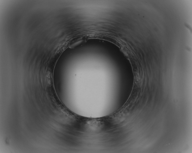 X0000091300470200708241055