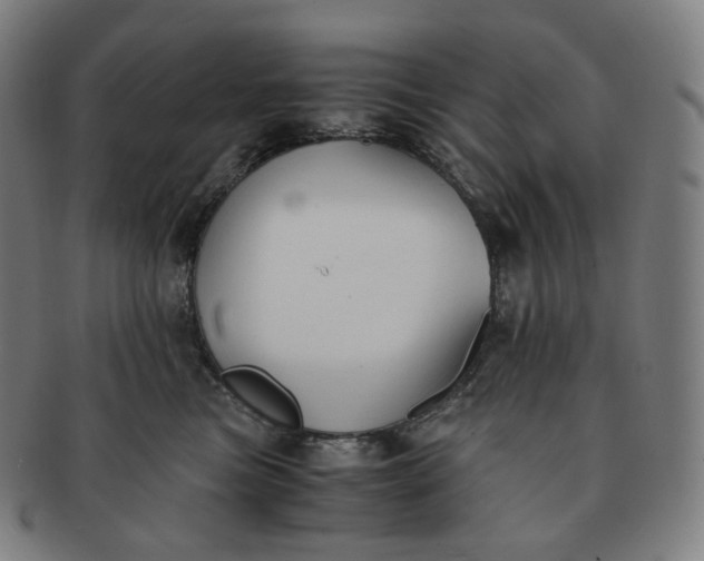 X0000091300473200708241055