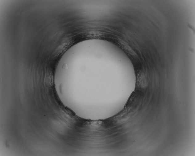 X0000091300474200708241055