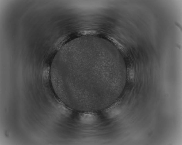 X0000091300475200708241055