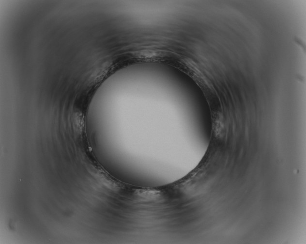 X0000091300476200708241055