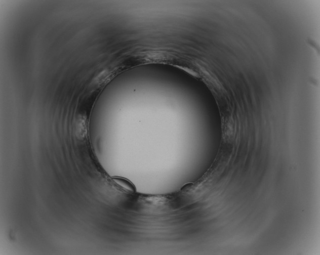 X0000091300478200708241055