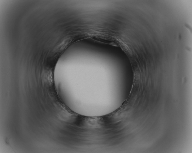 X0000091300479200708241055