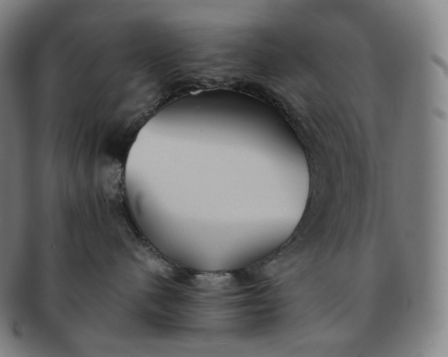 X0000091300480200708241055