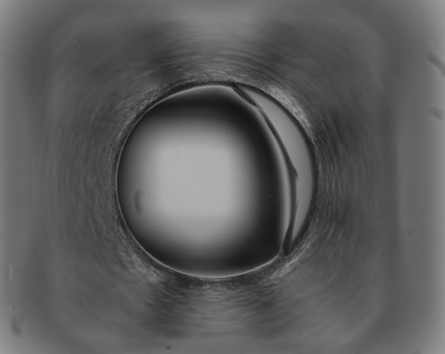 X0000091300481200708241054