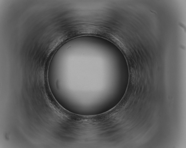 X0000091300482200708241054