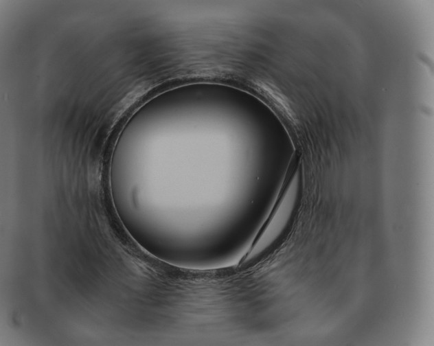 X0000091300483200708241054