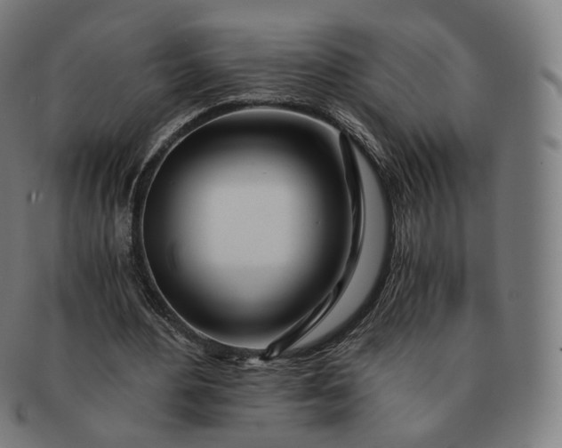 X0000091300484200708241054