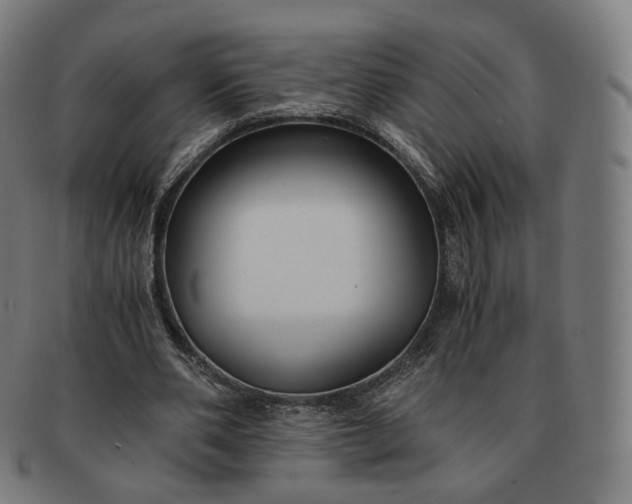 X0000091300486200708241054