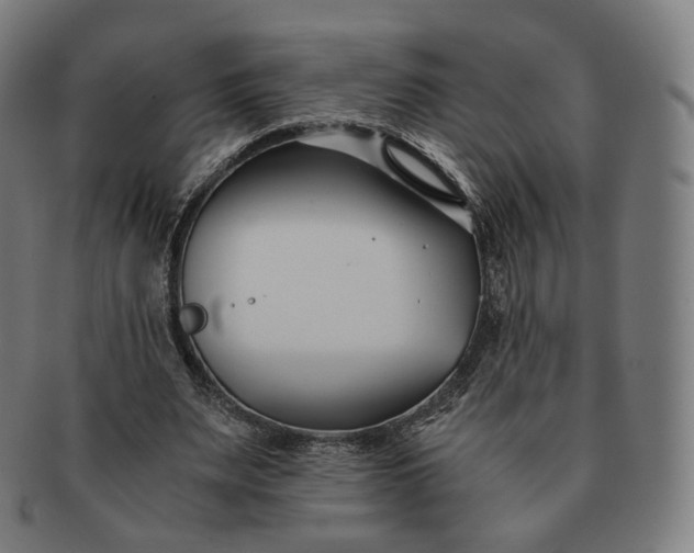 X0000091300487200708241054