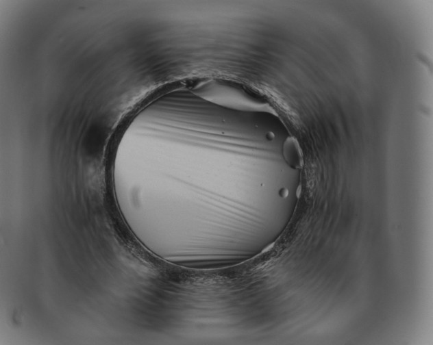 X0000091300488200708241054