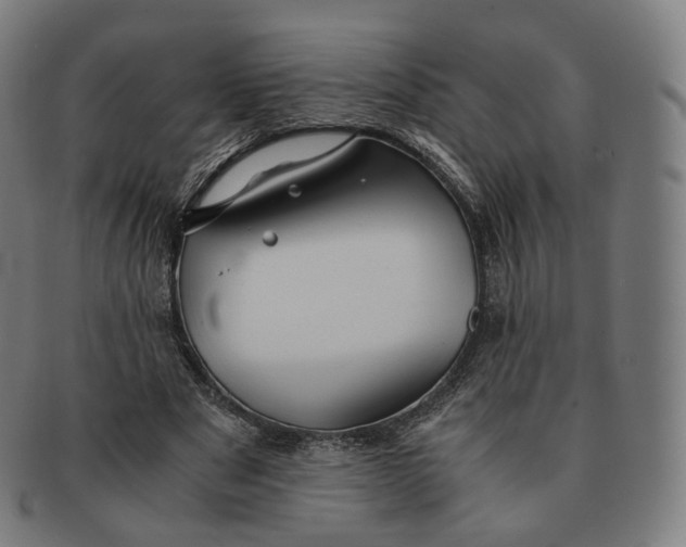 X0000091300489200708241054