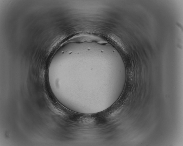 X0000091300491200708241054