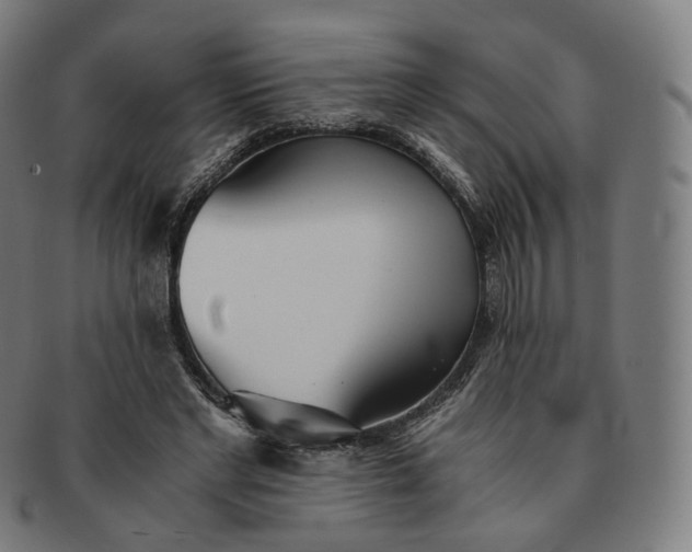 X0000091300493200708241054