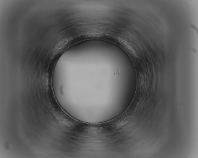 X0000091300494200708241054