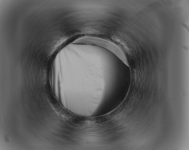 X0000091300496200708241054