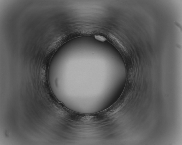 X0000091300497200708241054