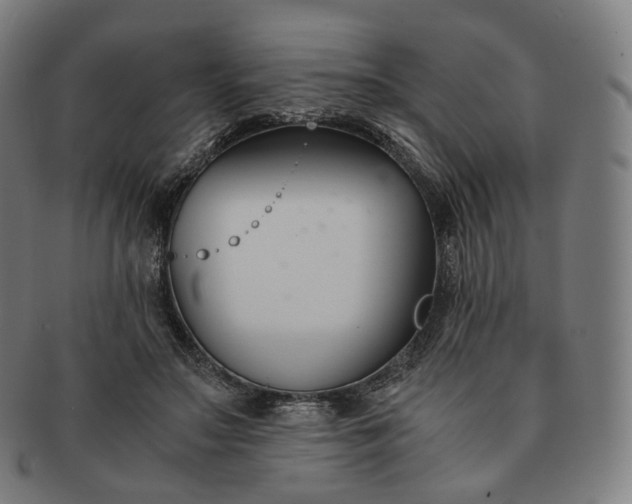 X0000091300499200708241054