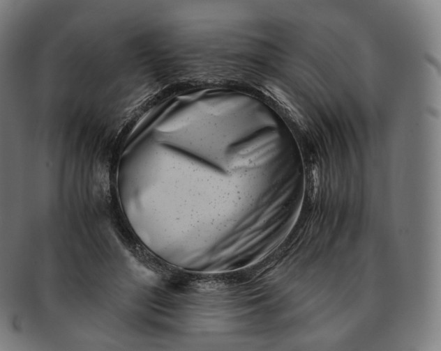 X0000091300500200708241054