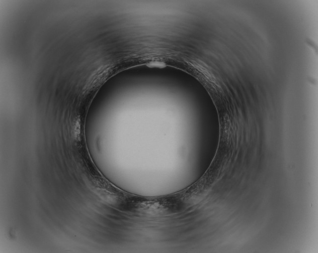 X0000091300502200708241054