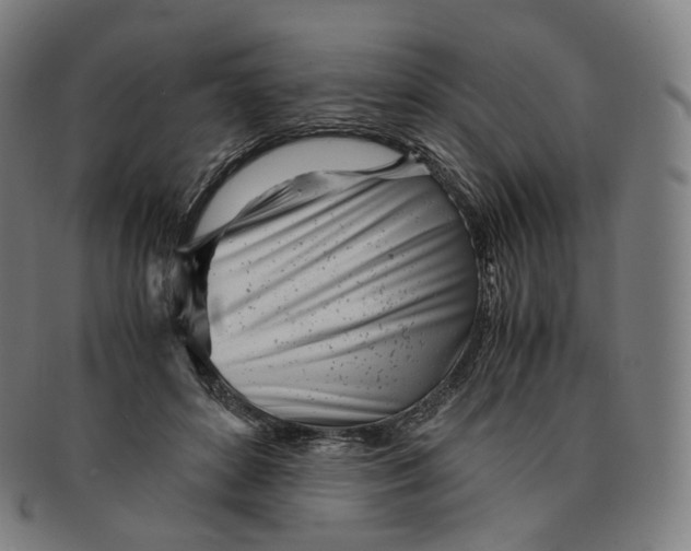 X0000091300504200708241054