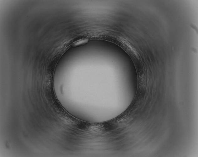 X0000091300505200708241054