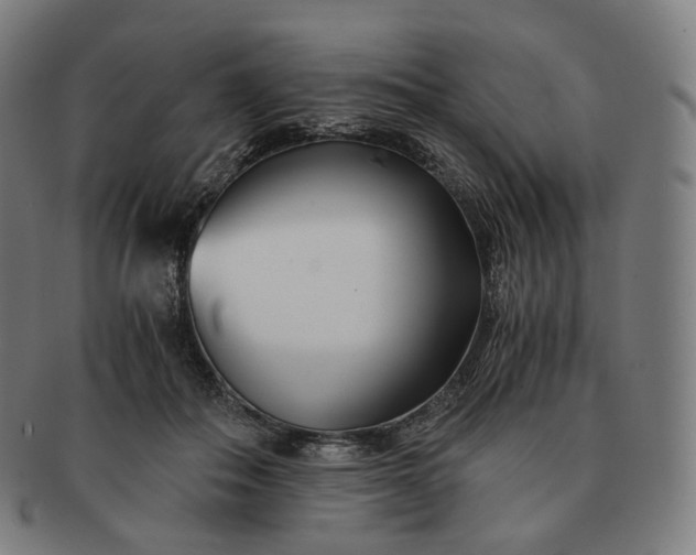 X0000091300506200708241054