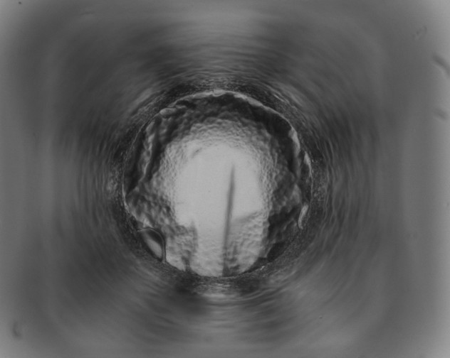 X0000091300507200708241054