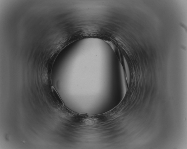 X0000091300508200708241054