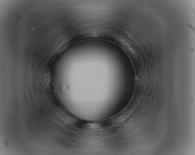 X0000091300509200708241054