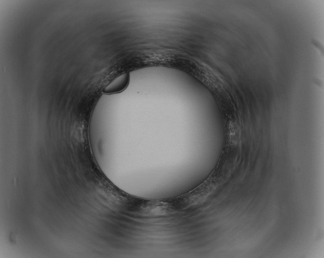 X0000091300514200708241054