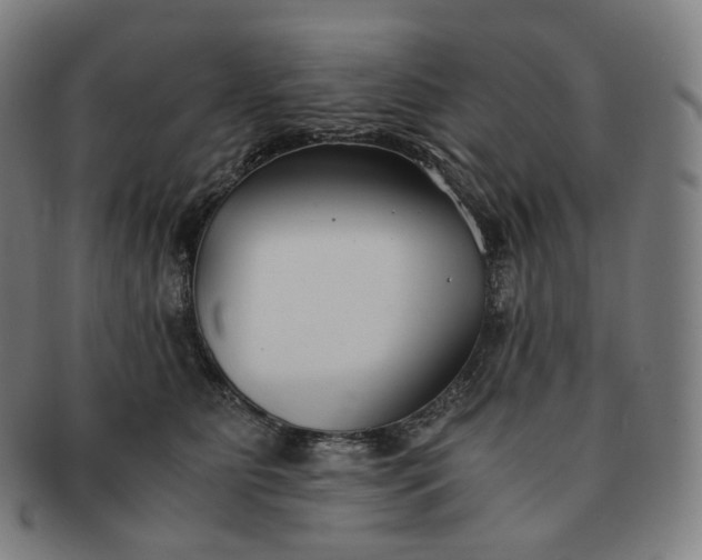 X0000091300515200708241054