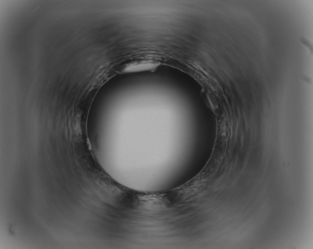 X0000091300516200708241054