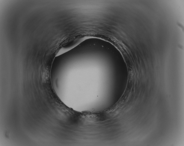 X0000091300517200708241054